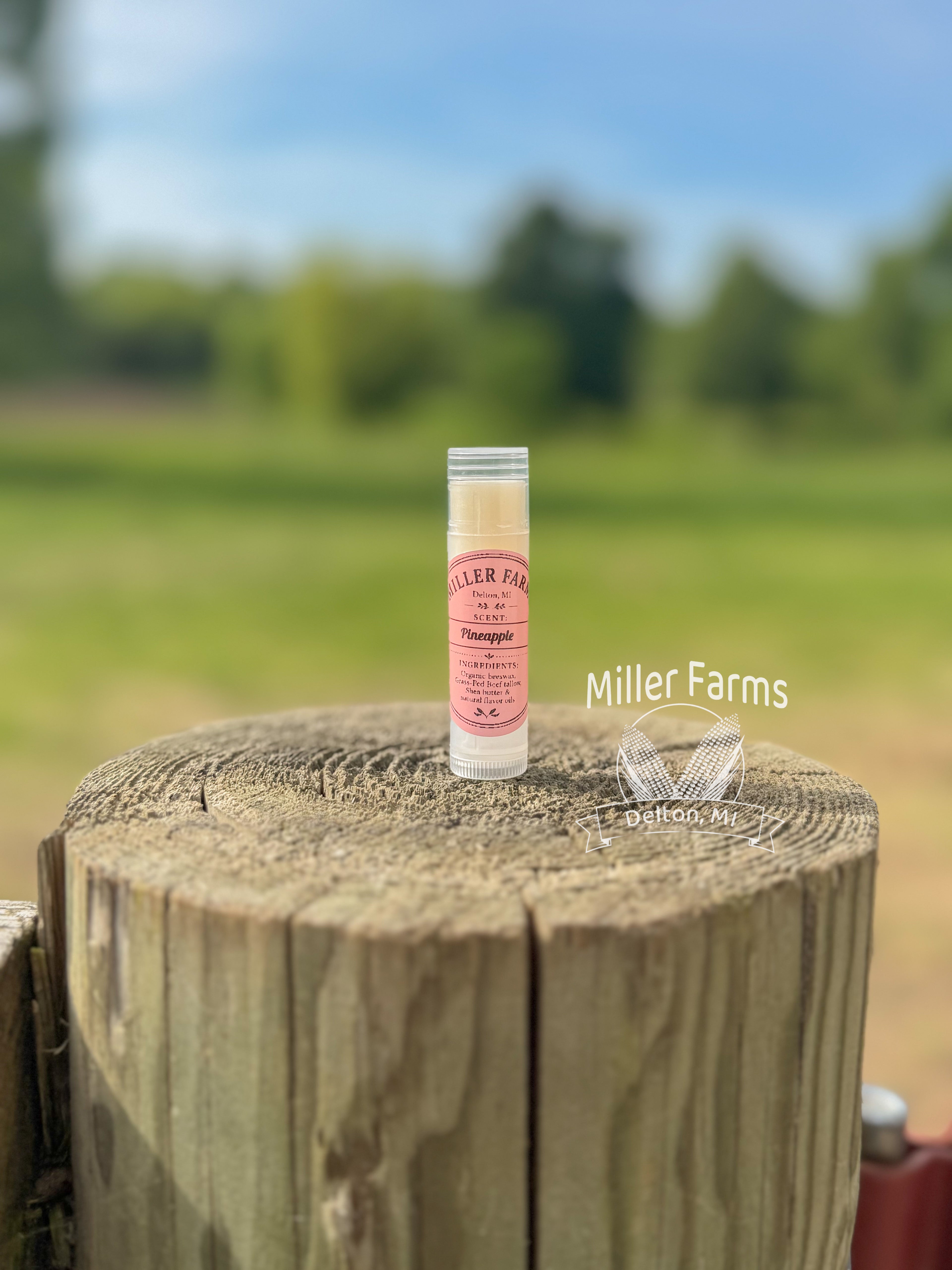 Organic Lip Balm
