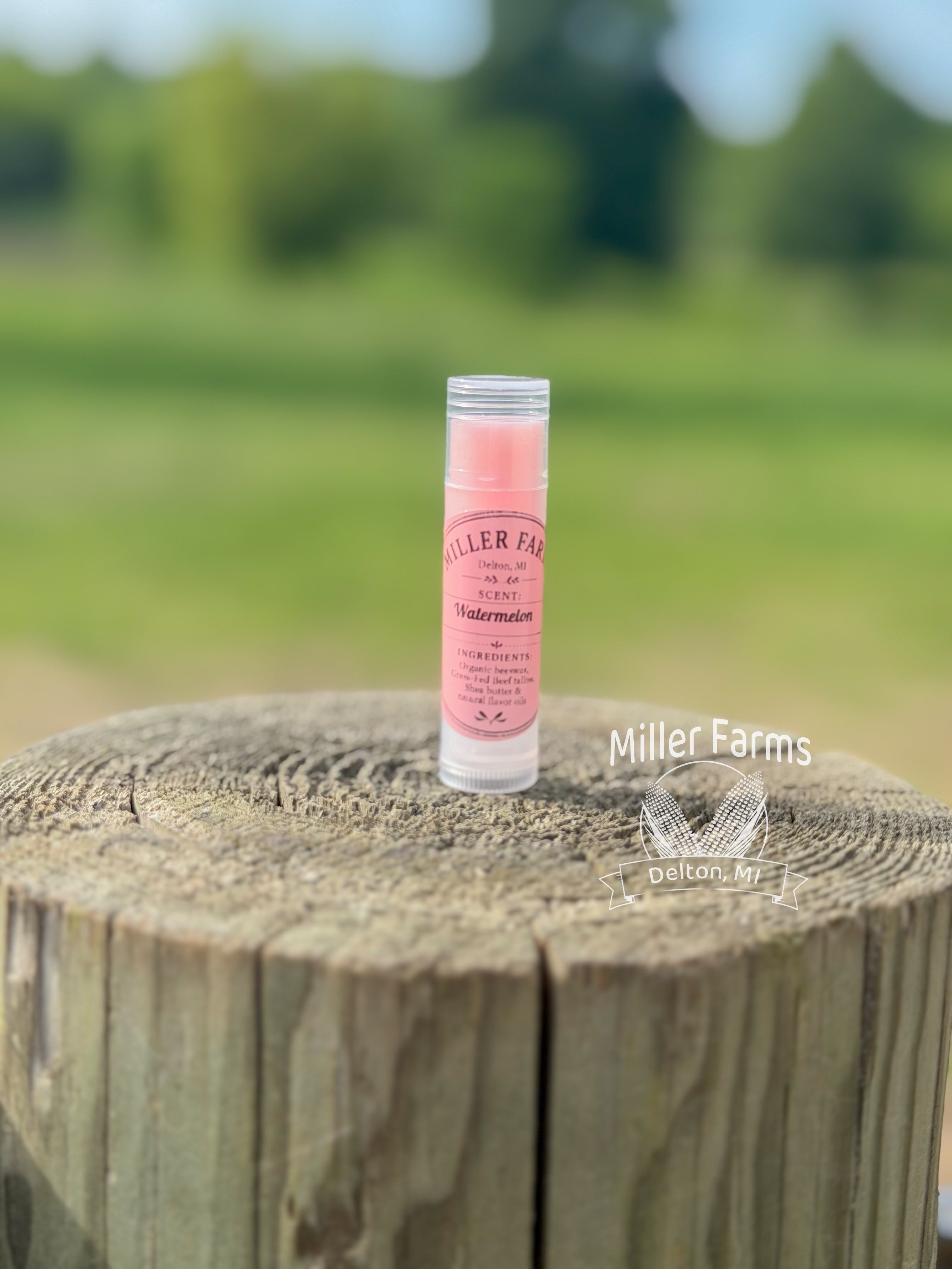 Organic Lip Balm