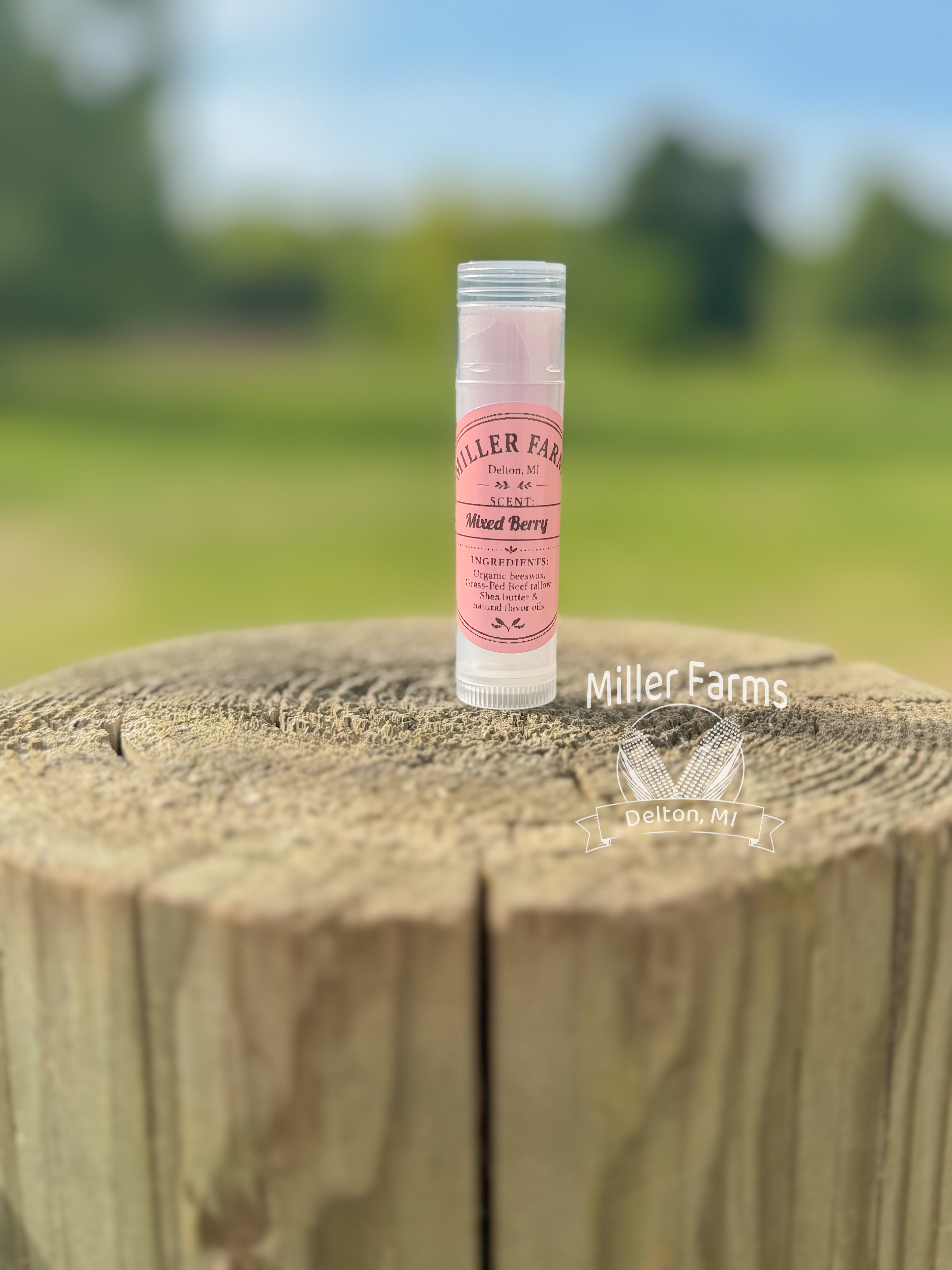 Organic Lip Balm